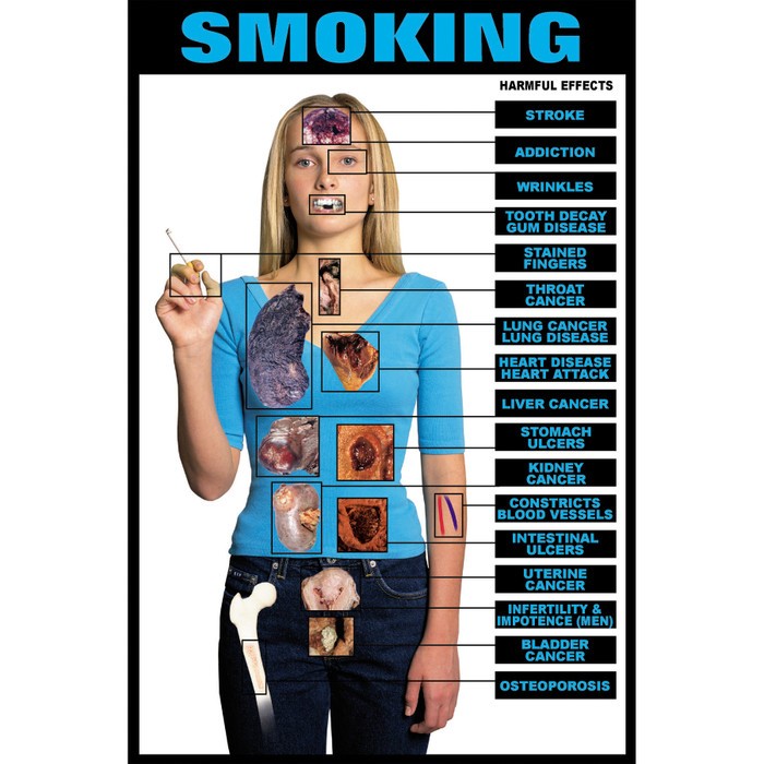11 Bad Things About Smoking Harmful Effects of Cigarettes