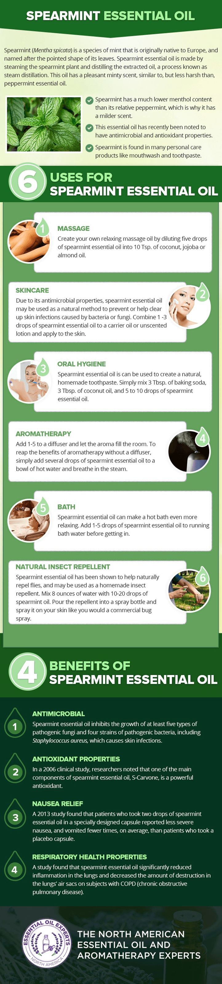 12 Surprising Benefits of Spearmint Tea and Essential Oil