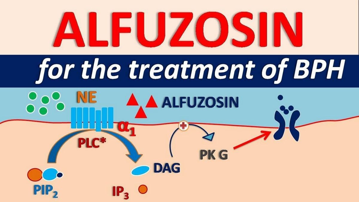 ALFUZOSIN EXTENDED-RELEASE - ORAL Uroxatral side effects medical uses and drug interactions