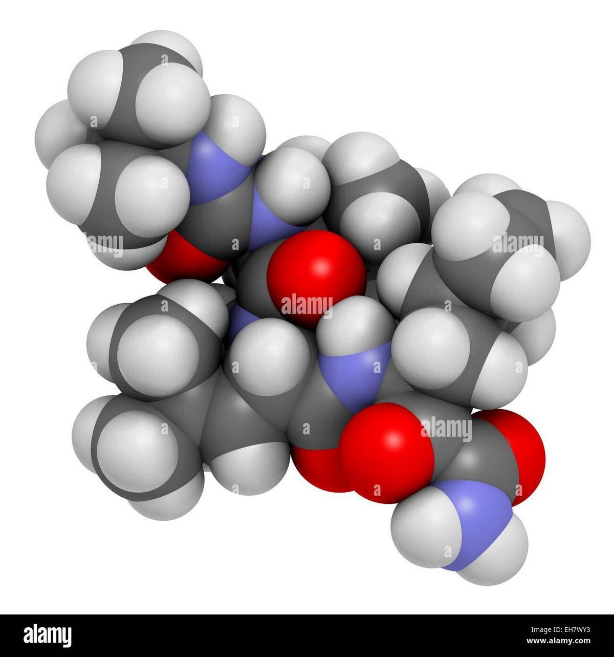 Boceprevir Hepatitis C Uses Warnings Side Effects Dosage