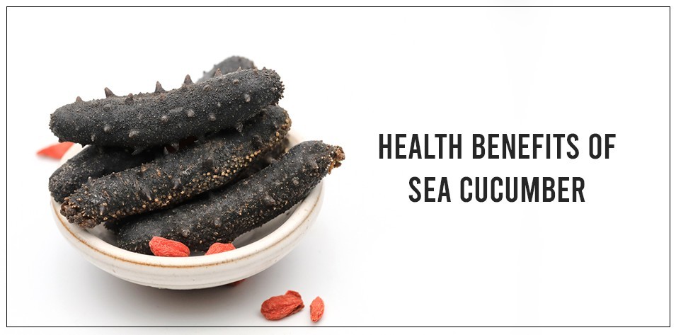 Can You Eat Sea Cucumber and Are There Health Benefits