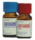 Cantharidin Generic Molluscum Contagiosum Uses Side Effects