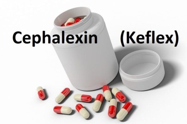 CEPHALEXIN - ORAL Keflex side effects medical uses and drug interactions