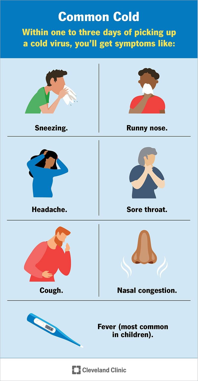 Common Cold Early Signs 4 Stages Timeline of Symptom Progression