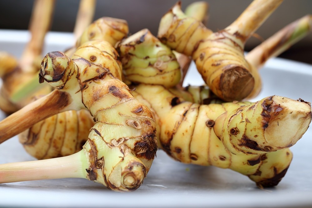 Galangal and Ginger Root What Are the Differences and Health Benefits of Each