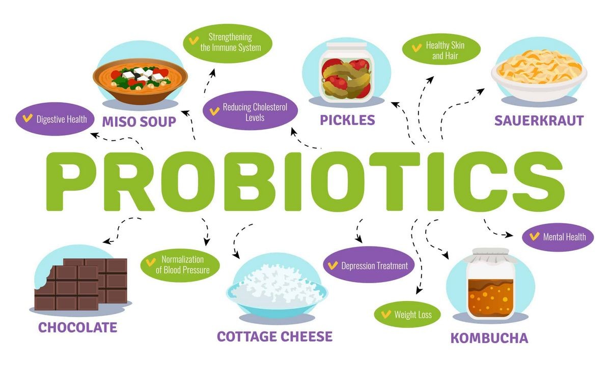 Here s Why Men Should Take Probiotics