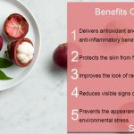 13 Health Benefits of Mangosteen and What It Can Treat