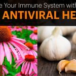 16 Best Antiviral Herbs and Supplements To Boost Your Immune System and Keep You Healthy