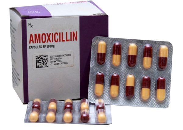 Amoxicillin Amoxil vs Ceftriaxone Rocephin Uses Side Effects