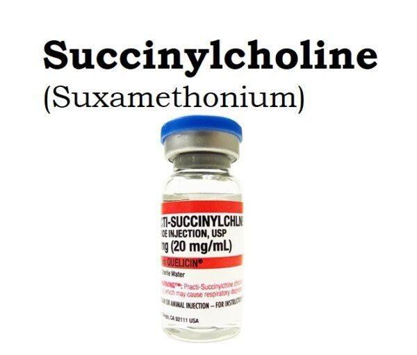 Anectine succinylcholine chloride Side Effects Dosage