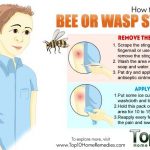 Bee Wasp Sting Symptoms Types Reaction Treatment at Home