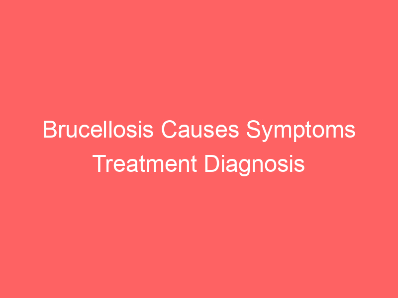 Brucellosis Causes Symptoms Treatment Diagnosis