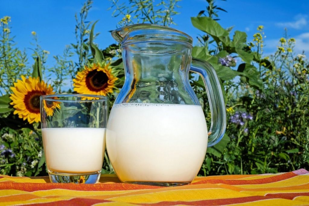 Can Dairy Cause Inflammation
