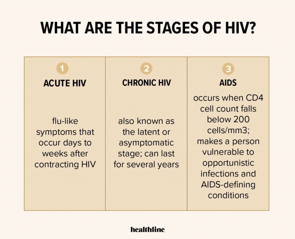 Can the HIV Virus Go Away 5 Possible Cures 4 Stages