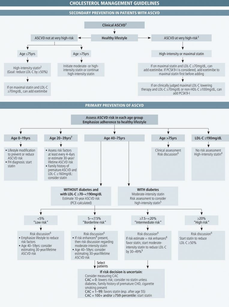 Cholesterol Guidelines for Adults 2001