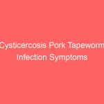 Cysticercosis Pork Tapeworm Infection Symptoms Treatment Diagnosis