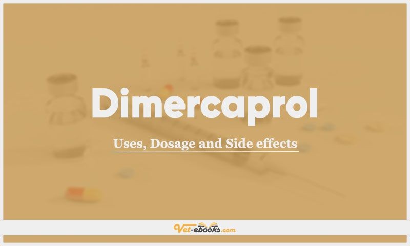 Dimercaprol Antidote Uses Warnings Side Effects Dosage