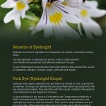 Eyebright Allergies 8 Benefits Dosage and Side Effects