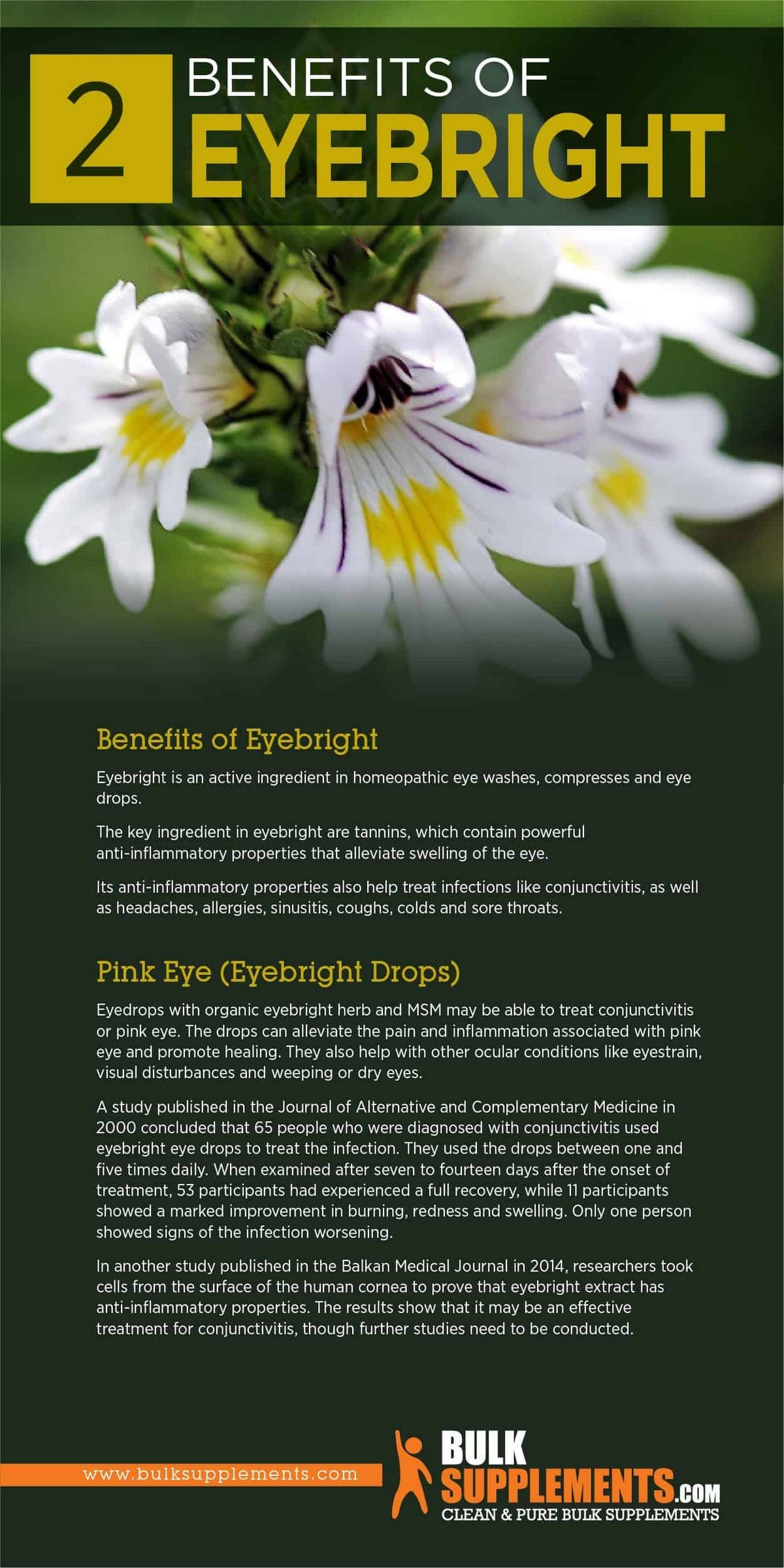 Eyebright Allergies 8 Benefits Dosage and Side Effects