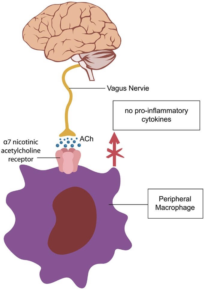 GALANTAMINE – ORAL Razadyne Reminyl side effects medical uses and drug interactions