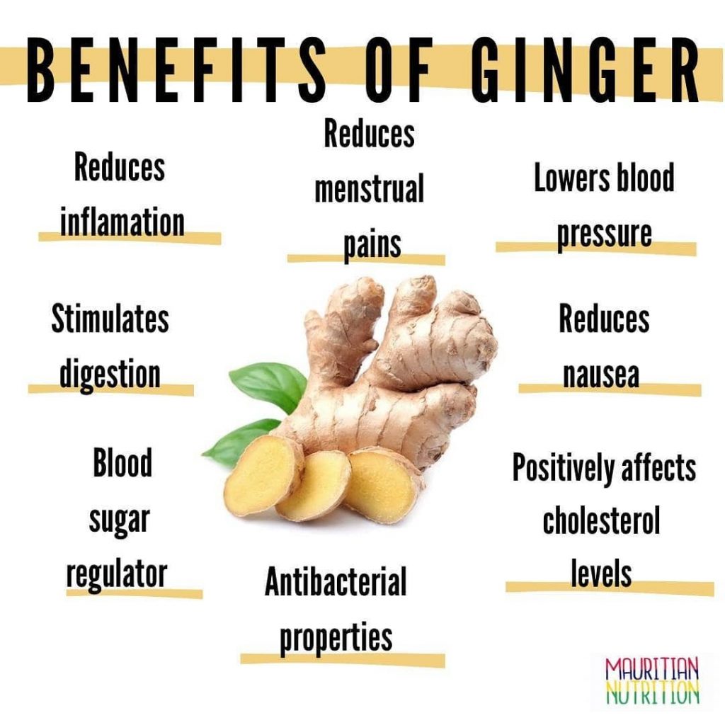 Ginger Zingiber officinale Health Benefits Side Effects