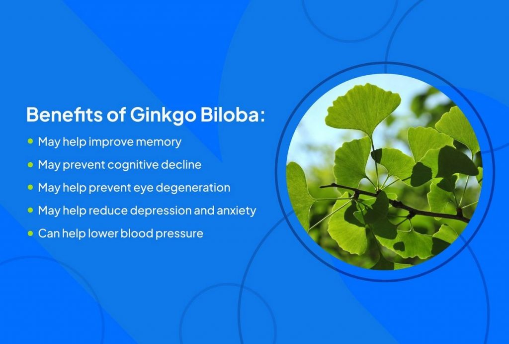 Ginkgo Biloba Benefits Side Effects 13 Supplement Uses