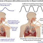 How Does Dyspnea Affect the Body