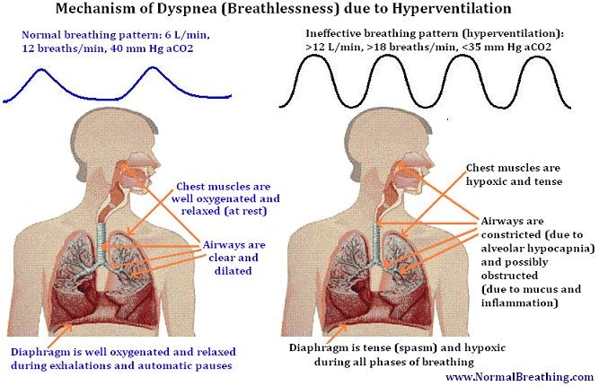 How Does Dyspnea Affect the Body