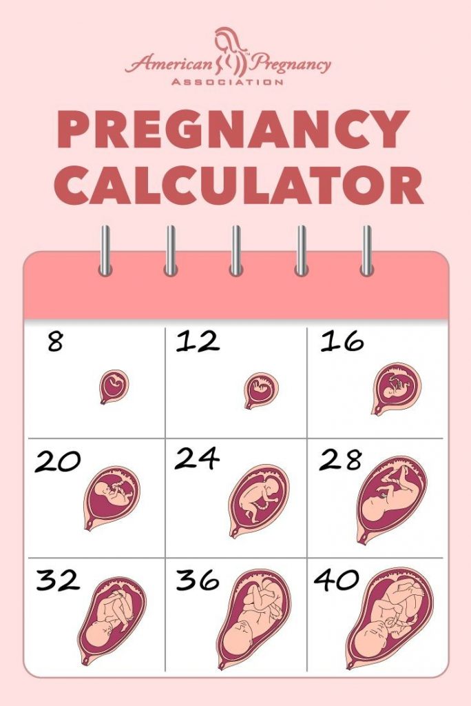 How Many Weeks Is 9 Months Pregnant Due Date Calculator