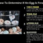 How to Tell if an Egg Is Good or Bad