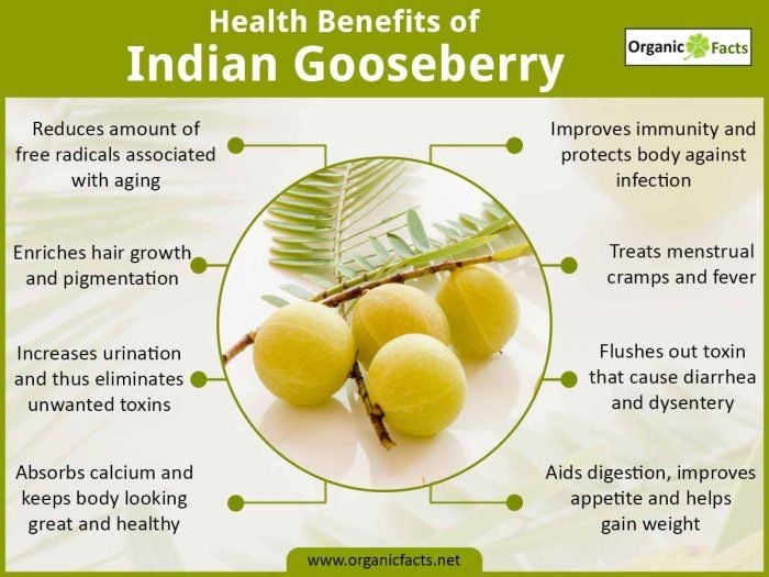 Indian Gooseberry 8 Health Benefits Uses and Side Effects