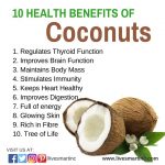 Is a Coconut a Fruit Seed or Nut What Are the Health Benefits