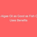 Is Algae Oil as Good as Fish Oil Uses Benefits and Side Effects