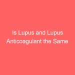 Is Lupus and Lupus Anticoagulant the Same
