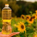 Is Sunflower Oil Good For You and Is It Healthier Than Olive Oil