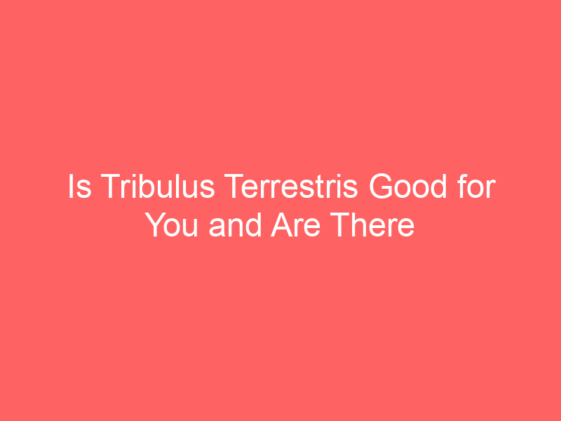 Is Tribulus Terrestris Good for You and Are There any Side Effects