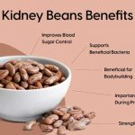 Kidney Beans 101 Nutrition Facts and Health Benefits