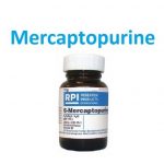 MERCAPTOPURINE – ORAL Purinethol side effects medical uses and drug interactions