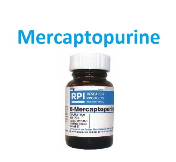 MERCAPTOPURINE – ORAL Purinethol side effects medical uses and drug interactions