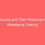 Muscles and Their Response to Resistance Training