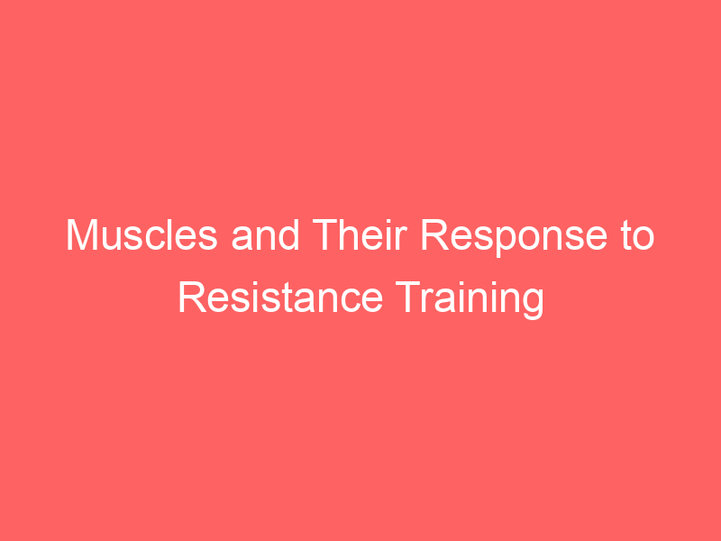 Muscles and Their Response to Resistance Training