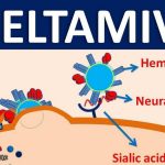 OSELTAMIVIR SUSPENSION – ORAL Tamiflu side effects medical uses and drug interactions