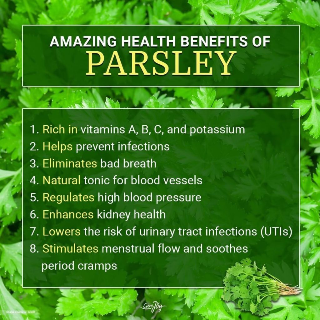 Parsley UTI Uses Benefits Side Effects