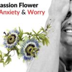 Passion Flower Anxiety Uses Warnings Side Effects Dosage