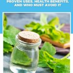 Peppermint Oil OTC Uses Warnings Side Effects Dosage