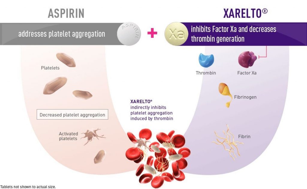 Plavix clopidogrel vs Xarelto rivaroxaban Blood Thinner Side Effects