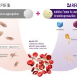 Plavix clopidogrel vs Xarelto rivaroxaban Blood Thinner Side Effects