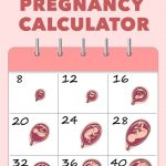 Pregnancy Due Date Calculator How Do I Calculate My Due Date