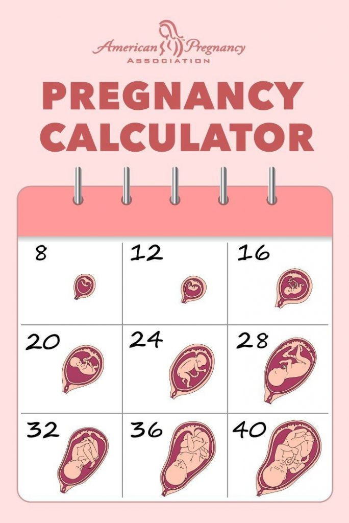 Pregnancy Due Date Calculator How Do I Calculate My Due Date