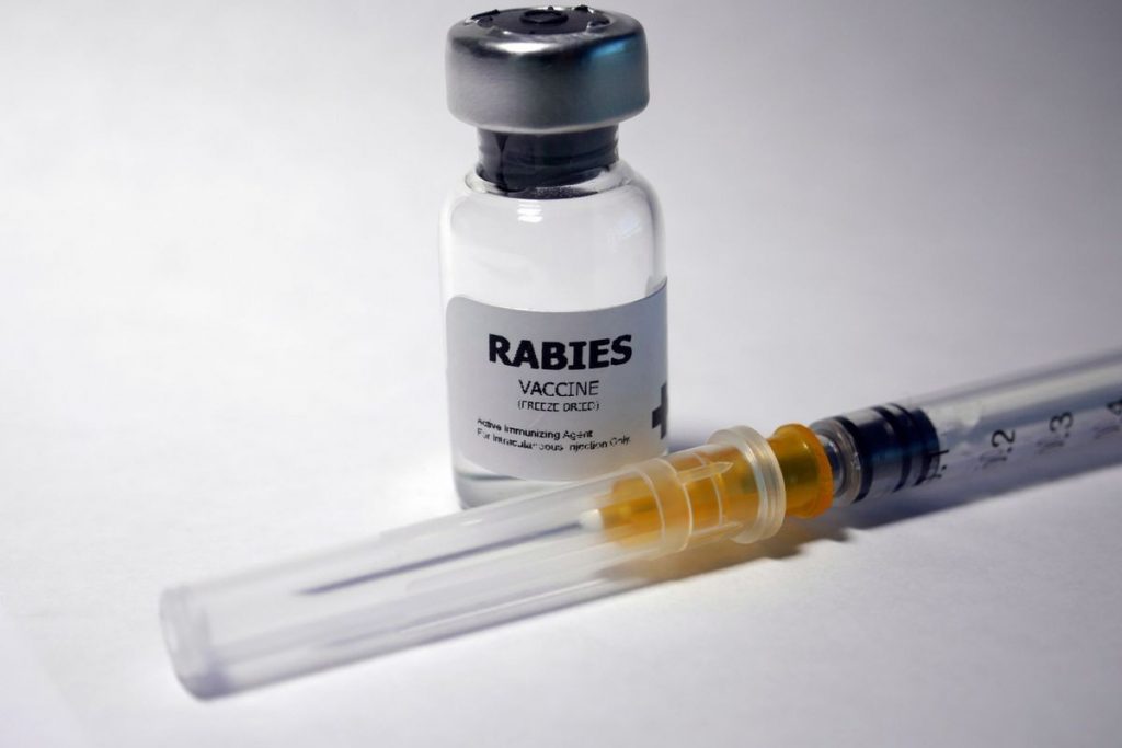 Rabies Vaccine Animal Bite Uses Warnings Side Effects Dosage